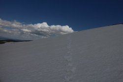 79658 79658