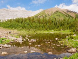 _1100344-copy-3.jpg _1100344-copy-3.jpg