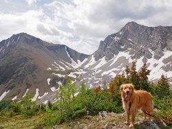 _1100370-copy-3.jpg _1100370-copy-3.jpg