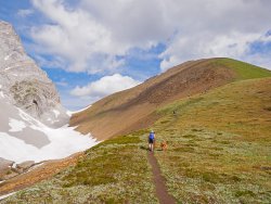 _1100374-copy-3.jpg _1100374-copy-3.jpg