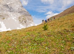 _1100382-copy-3.jpg _1100382-copy-3.jpg