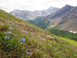 _1100385-copy-3.jpg _1100385-copy-3.jpg