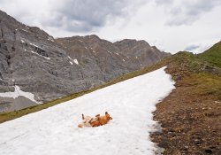 _1100426-copy-3.jpg _1100426-copy-3.jpg