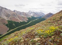 _1100446-copy-3.jpg _1100446-copy-3.jpg