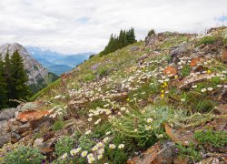 _1100474-copy-3.jpg _1100474-copy-3.jpg