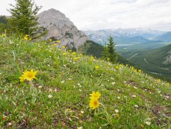 _1100490-copy-3.jpg _1100490-copy-3.jpg