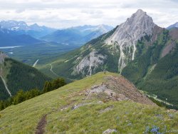 P1100487-copy-3.jpg P1100487-copy-3.jpg