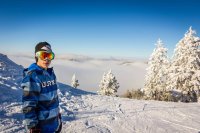 sticking edit for BCP.jpg