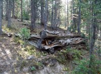 Mystery Cabin Search 09-22-2012 034 (2) (3000x2209).jpg Mystery Cabin Search 09-22-2012 034 (2) (3000x2209).jpg