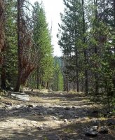 Mystery Cabin Search 09-22-2012 140 (2).jpg Mystery Cabin Search 09-22-2012 140 (2).jpg