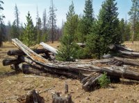 Mystery Cabin Search 09-22-2012 144 (2) (3000x2250).jpg Mystery Cabin Search 09-22-2012 144 (2) (3000x2250).jpg