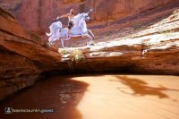 riding-unicorn.jpg riding-unicorn.jpg