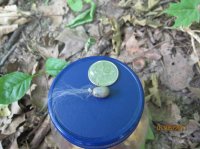 Wood Samples 292.JPG