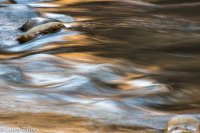 Zion abstracts-3.jpg