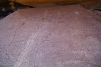 ClamShell_signs02.jpg ClamShell_signs02.jpg