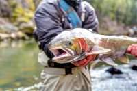 uploadfromtaptalk1363630909331.jpg uploadfromtaptalk1363630909331.jpg