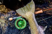 uploadfromtaptalk1363633038204.jpg uploadfromtaptalk1363633038204.jpg