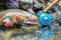 uploadfromtaptalk1363633067513.jpg uploadfromtaptalk1363633067513.jpg