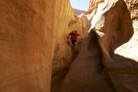 llewellyn-gulch-escalante-8.jpg