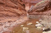 llewellyn-gulch-escalante-31.jpg
