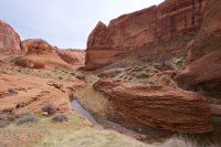 llewellyn-gulch-escalante-34.jpg