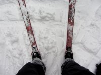 IMG_4216.JPG IMG_4216.JPG