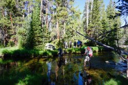 DSC02933.jpg DSC02933.jpg