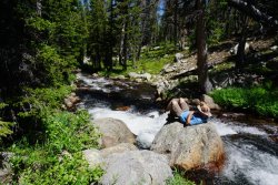 DSC02960.jpg DSC02960.jpg