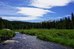 DSC02969.jpg DSC02969.jpg