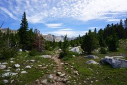 DSC02976.jpg DSC02976.jpg