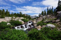 DSC02995.jpg DSC02995.jpg