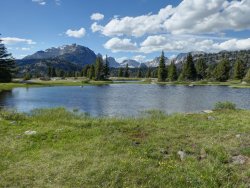 P1020255_6_7Natural.jpg P1020255_6_7Natural.jpg