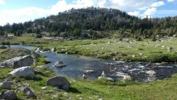 P1020274.jpg P1020274.jpg