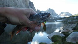 P1020587.jpg P1020587.jpg