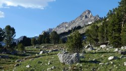 P1020602.jpg P1020602.jpg