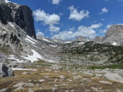 P1020804_5_6Natural.jpg P1020804_5_6Natural.jpg