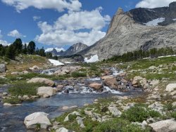 P1030010_1_2Natural.jpg P1030010_1_2Natural.jpg