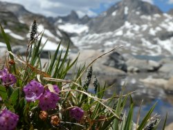 P1030106.jpg P1030106.jpg