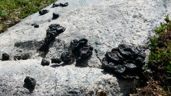 P1030127.JPG P1030127.JPG