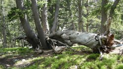 P1030131.jpg P1030131.jpg