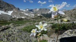 P1030274.jpg P1030274.jpg