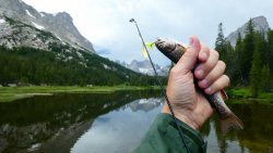 P1030464.JPG P1030464.JPG