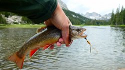 P1030496.jpg P1030496.jpg