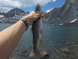 P1030117.jpg P1030117.jpg