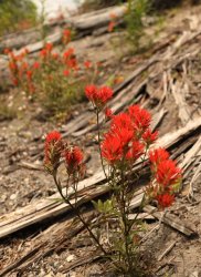 5J5A0142.JPG 5J5A0142.JPG