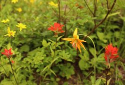 5J5A0154.JPG 5J5A0154.JPG