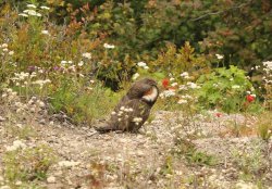 5J5A0177.JPG 5J5A0177.JPG