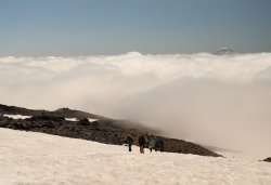 5J5A0223A.JPG 5J5A0223A.JPG