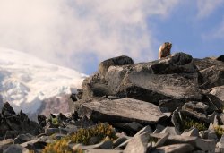 5J5A0267A.JPG 5J5A0267A.JPG