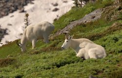 5J5A0294A.JPG 5J5A0294A.JPG